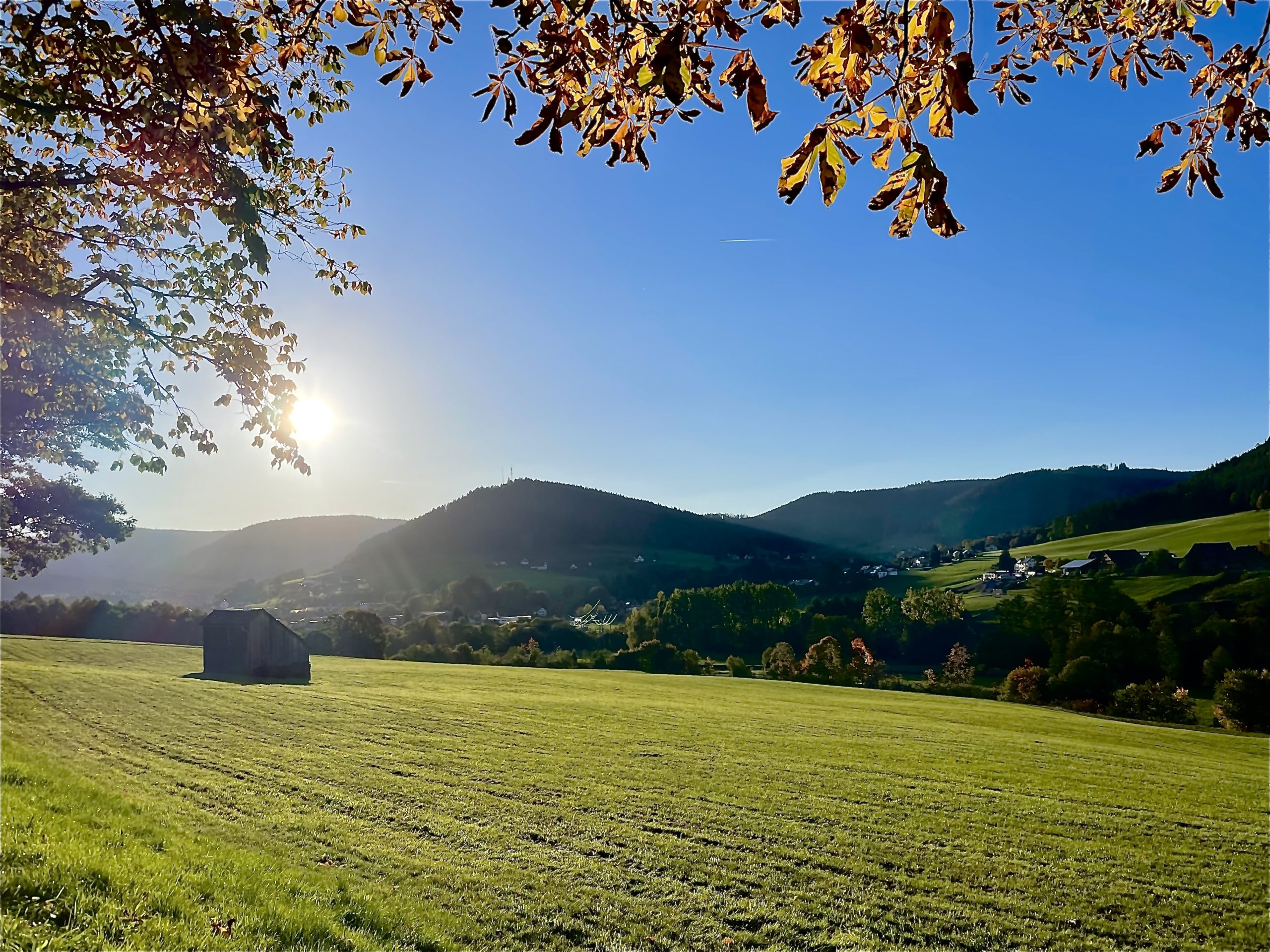 Schwarzwald