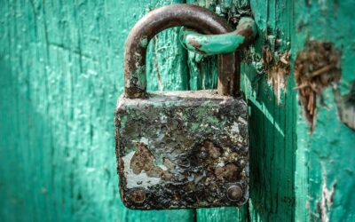 Die Suche nach Sicherheit in einer unsicheren Welt