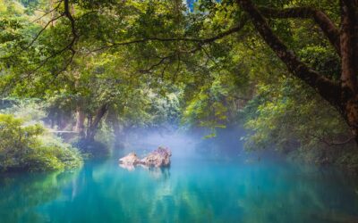 Stille Orte – Heilsam für die Psyche und Honig für die Seele